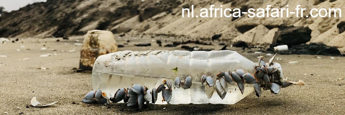 nl.africa-safari-fr.com